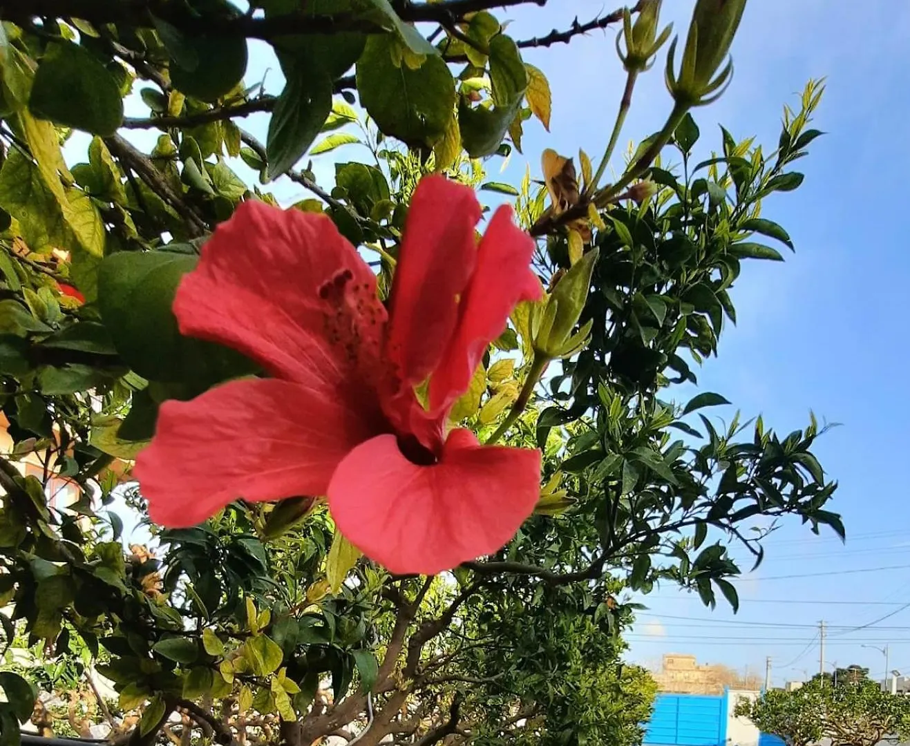 Villa A Pochi Passi Dal Mare Mazara del Vallo